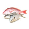 Seafood
